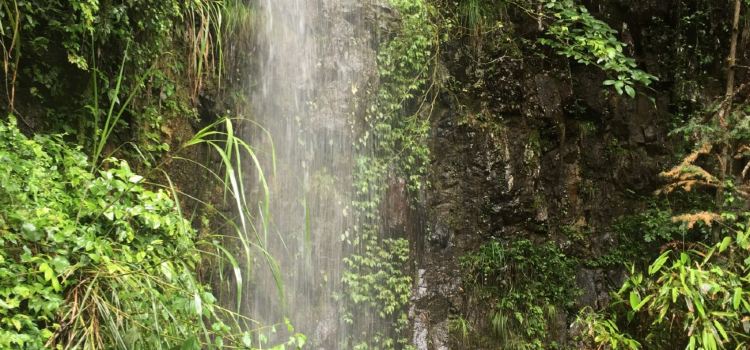 Lingshangrenjiawangfengloukaoquanyang