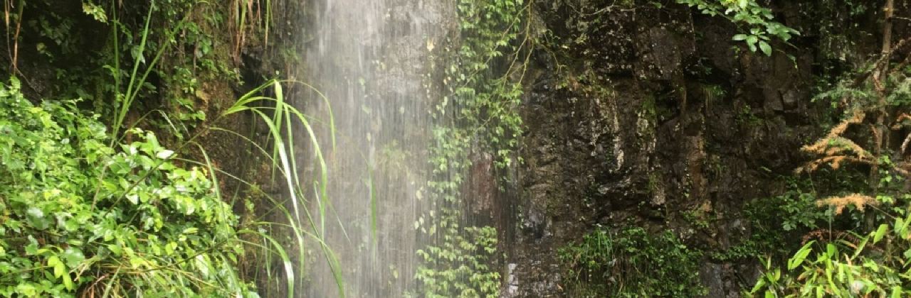 Lingshangrenjiawangfengloukaoquanyang