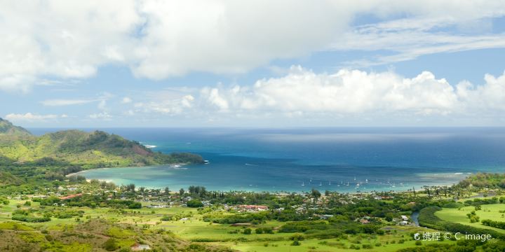 Hanalei Valley Lookout