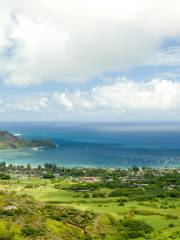 Hanalei Valley Lookout