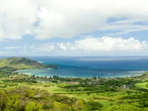 Hanalei Valley Lookout