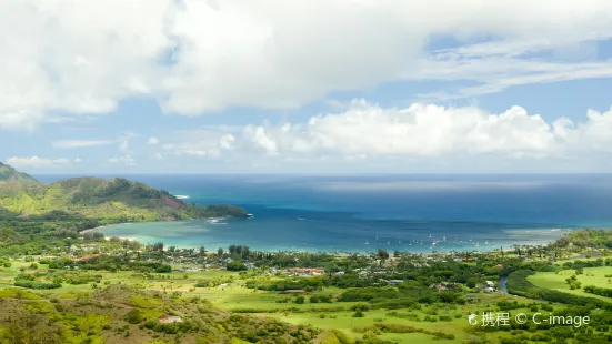 Hanalei Valley Lookout