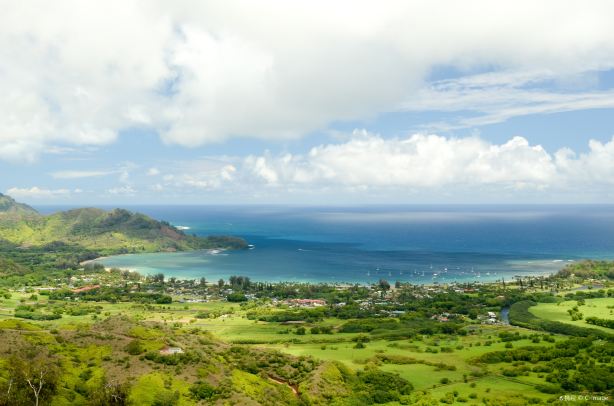 Hanalei Valley Lookout