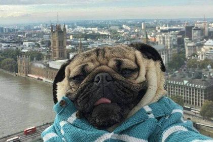 JI YOU HUA MEI YA SI ZONG DIAN