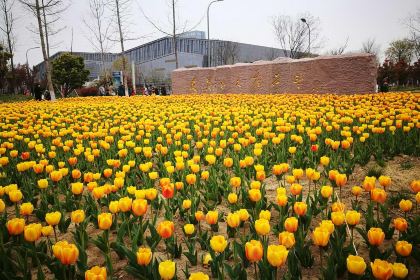 PAN GE LIA ROU XIE BAO MO DA DIAN