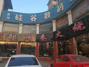 Haohonglaihuoshao (longshenghuayuan)