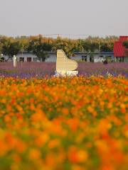 Shuanglou Flower Field