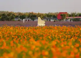 Shuanglou Flower Field