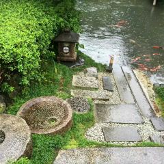 Nanzenji Junsei User Photo