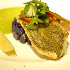 CASANOVA Italian Dining & Lounge User Photo