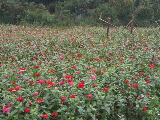 Taiji Wuse Valley