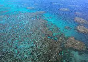 Moore Reef