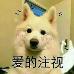 东方削面(迎泽街店) User Photo
