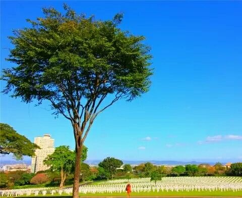 Manila American Cemetery and Memorial