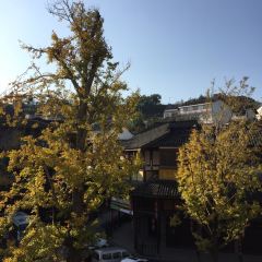 Shuaifuda Restaurant 여행 사진