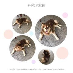 芳芳菜馆(上清古镇店) User Photo