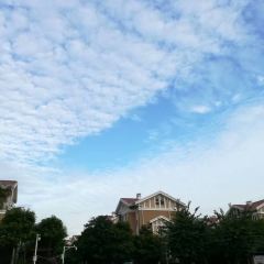 WU YUE NO.1 User Photo