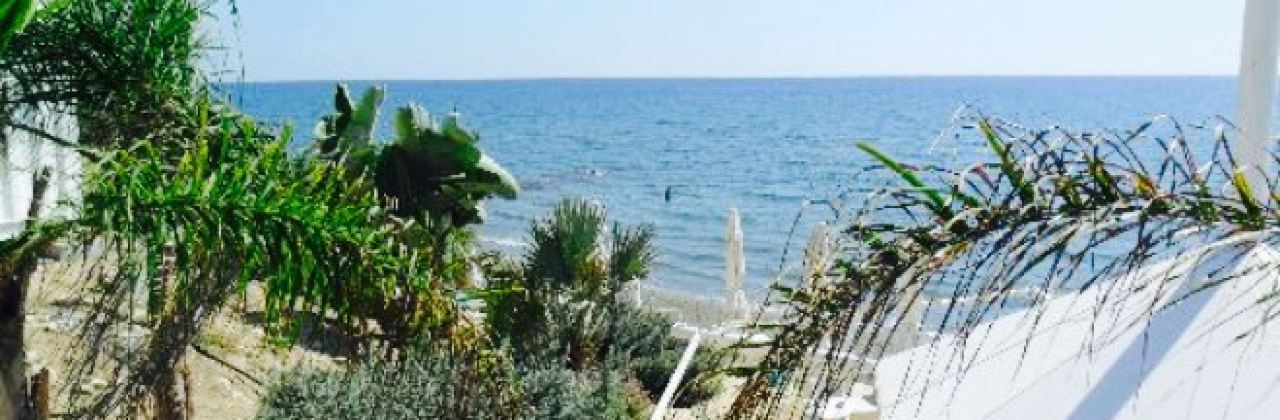 Chesters Bar and Restaurant