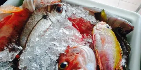 Restaurante Preia-Mar