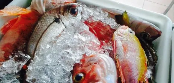 Restaurante Preia-Mar