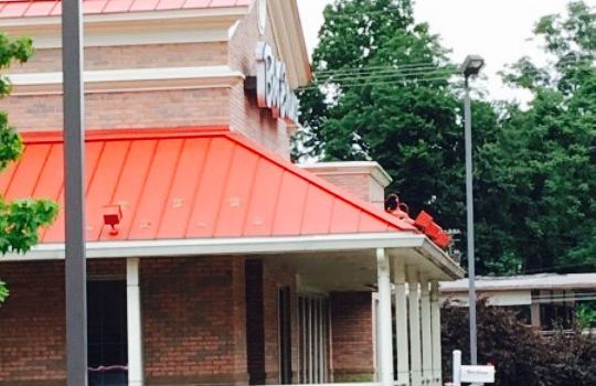 Bob Evans