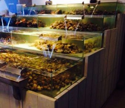 Seafarm Seafood & Proeverij