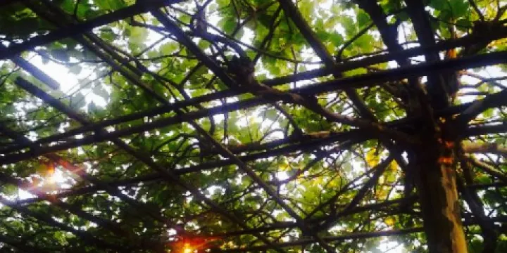 Aux Etangs de la Vieille Ferme