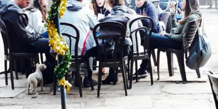 Universal Aloo Paratha Shop