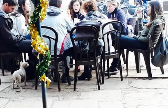 Universal Aloo Paratha Shop