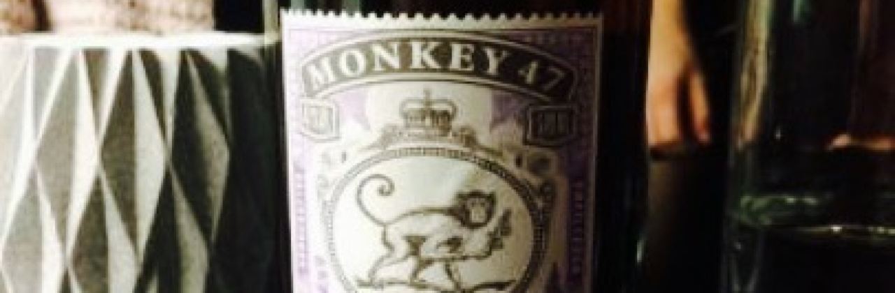 Vaågal Burger and Gin