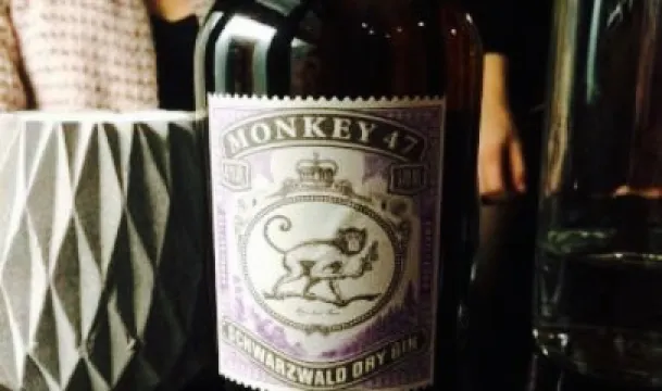 Vaågal Burger and Gin