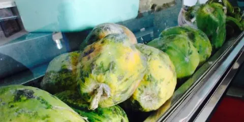 King of Shawarma Cafe