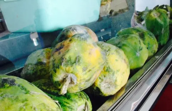 King of Shawarma Cafe