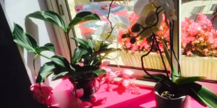 Hotel Restaurant Le Beauvoir