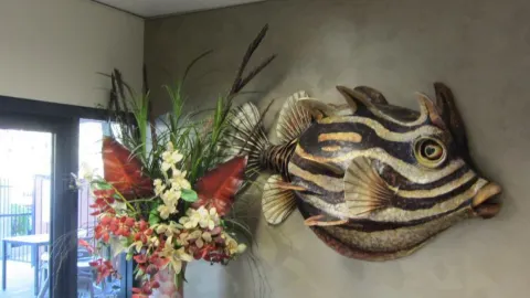 Loong Fong Seafood Restaurant in Darwin