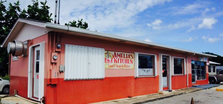 Amelia's Kitchen