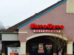 Eurogyro