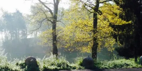 Lago Spina Ristorante