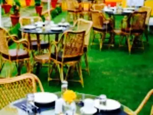Jardin De Olive