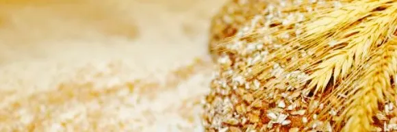 Backerei Konditorei Meixner Muller