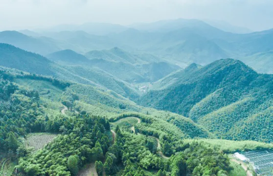 華頂國家森林公園門票優待(小童/學生/長者)