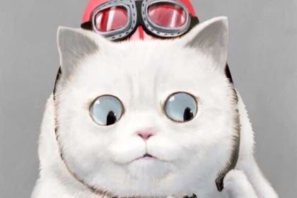 歐諾拉牛排自助百匯(金鷹店)