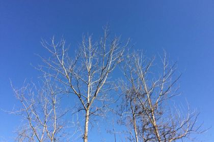 米星期（義烏萬達廣場店）