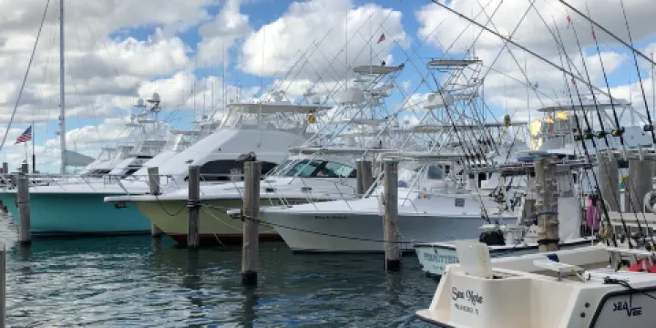 Sailfish Marina & Resort