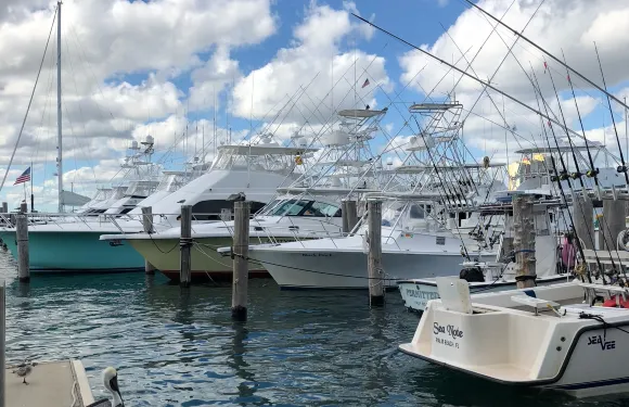 Sailfish Marina & Resort