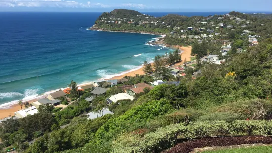 Jonah's Whale Beach