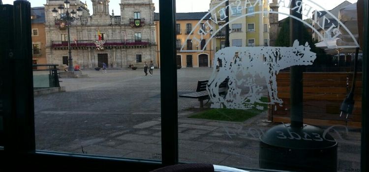 Pizzeria Trastevere