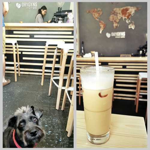 ORYGYNS Specialty Coffee