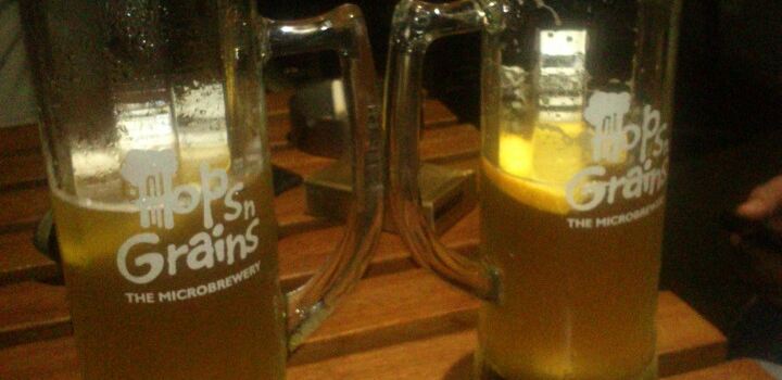 Hops n Grains The Microbrewery