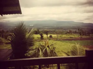 Warung Wareg